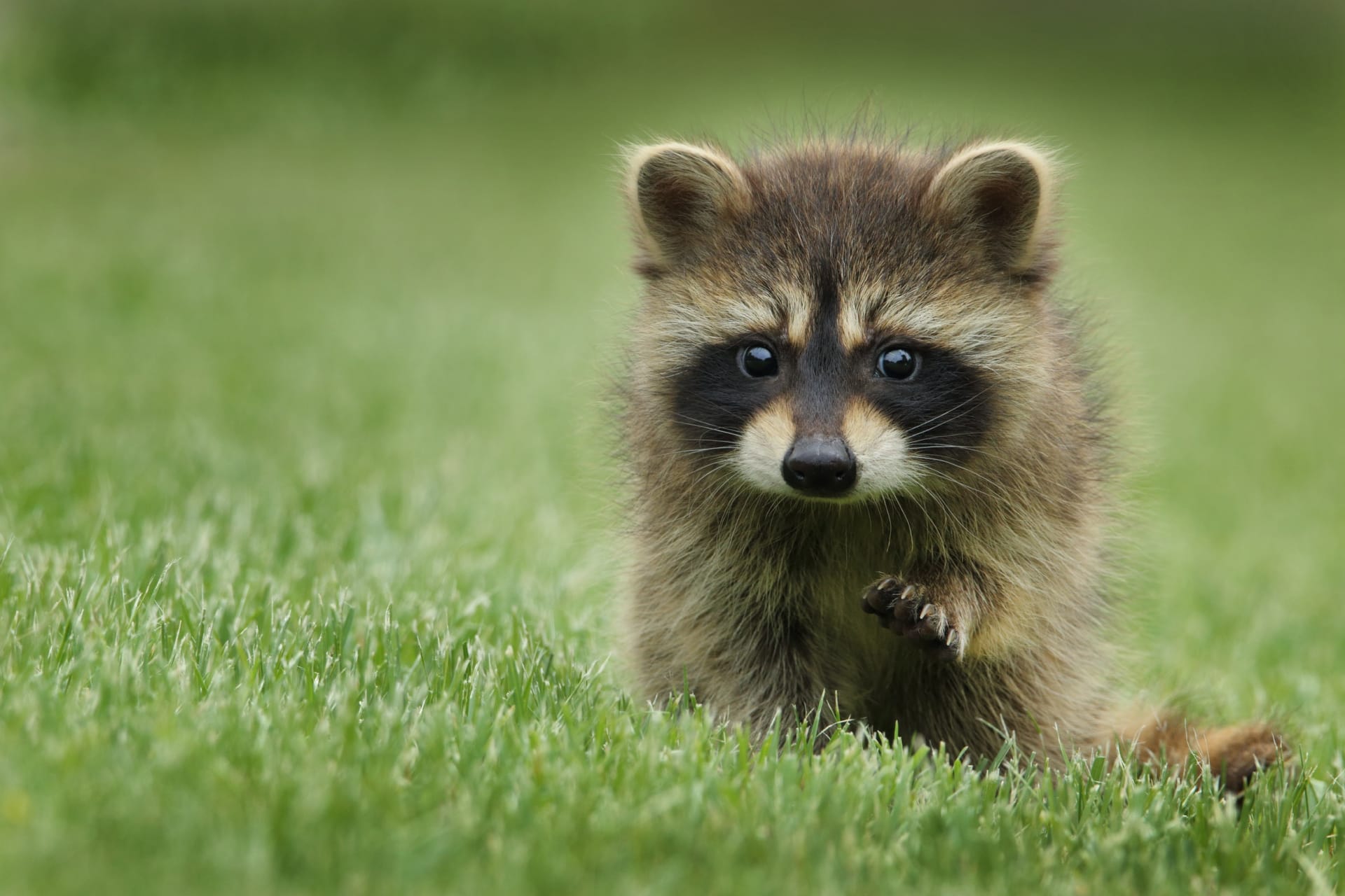 image05